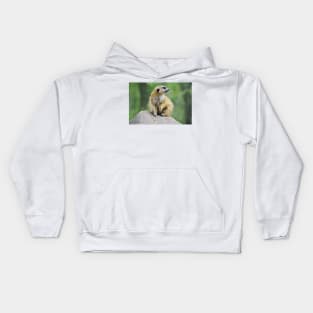 Meerkat Kids Hoodie